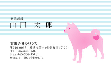 おもて画像